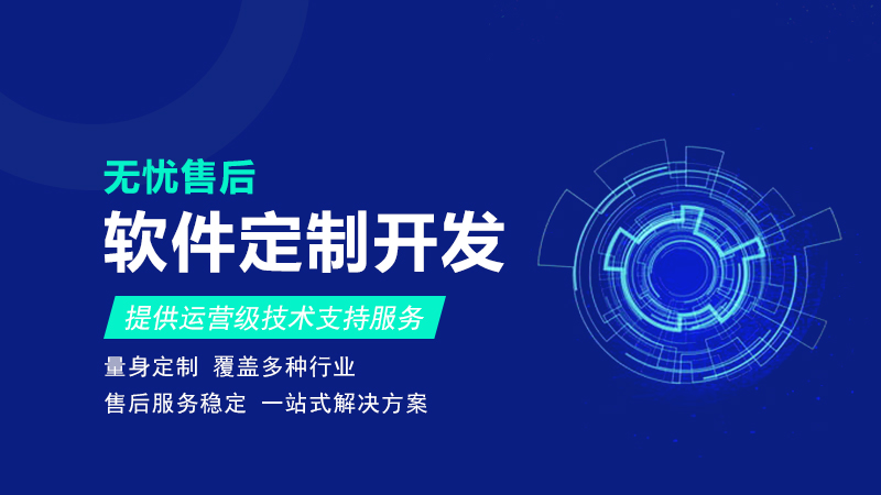 定制化的软件开发服务